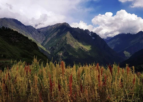 The Challenging Pangarchulla Trek