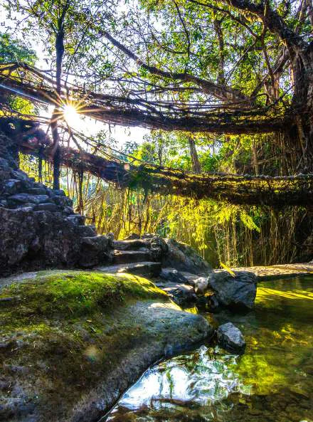 Meghalaya Backpacking Trip from Guwahati