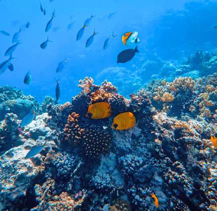 Bali and Gili Islands Trip