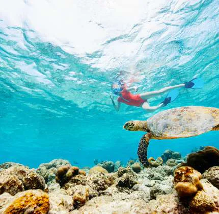 Gili Islands: explore and unwind
