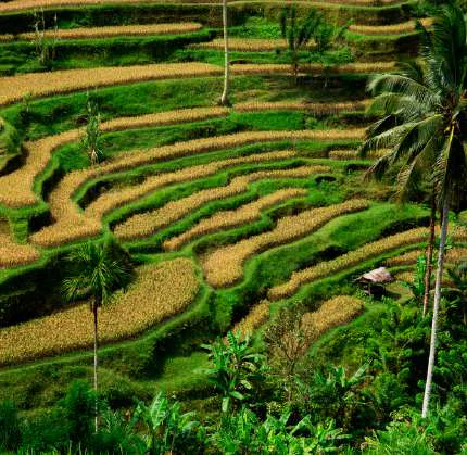 Departure from Bali