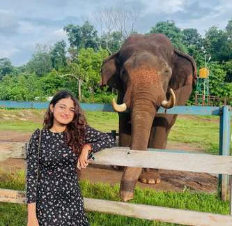 Namdroling Monastery and Elephant Camp