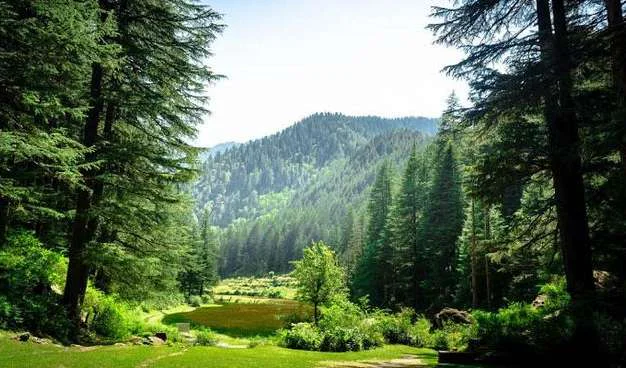 Shangarh Sainj Valley